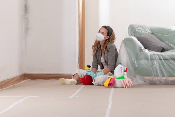 Reliable Commercial Mold Remediation contractor in Allendale, MI by Car Mold Remediation